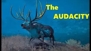 Assassin's Creed Valhalla - When You Have a Serious Problem With The Most Savage Deer In AC Valhalla