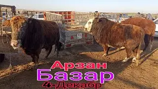 Шымбай мал базар/04-Декабрь/мал базар 2022/Скотный рынок/Shimbay mal bazar/mal bazar 2022/Bull/bulls