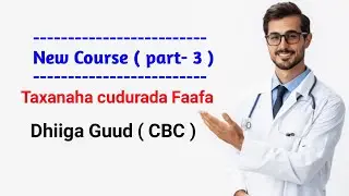 sharaxaada  dhiiga Guud ( part-3 )