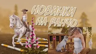 Обновление | Новинки на ранчо | Star Stable