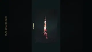 I used a 35mm film camera for night photography in Tokyo, and these are the results...
