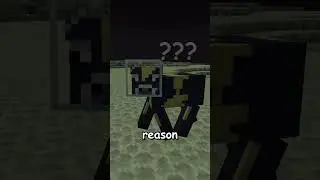 Minecraft FEATURES You Didnt Know Existed