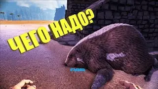 Taming the Beaver and Farm Marshes - ARK The Center # 9