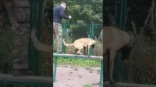 малинуа(движение назад на узком буме с разворотом,начало)