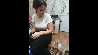 дуэт)))