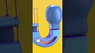 U Feeling pumped?