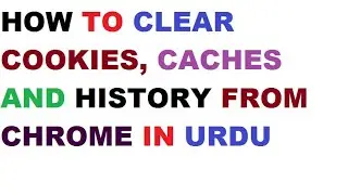 How to clear cookies, caches, and history in chrome ?