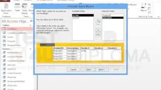 Use the query wizard to create a crosstab query based on the SalesPerProduct query. The new...