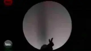 hand shadow sings wonderful world