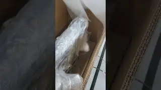 Naxeon unboxing!