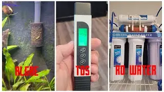 Algae | TDS | RO Water
