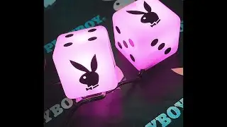 *FREE* Playboi Carti x Pierre Bourne Type Beat 