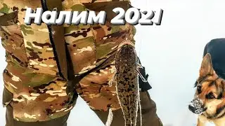 Налим 2021.Рыбалка в Екатеринбурге.