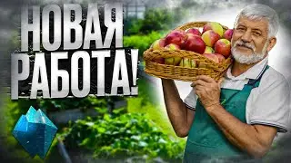НОВЫЕ РАБОТЫ НА ICE PROJECT! ТОВАРНАЯ БАЗА И СБОРЩИК ЯБЛОК! (MTA | ICE PROJECT)