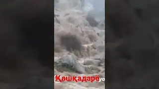 ҚАШҚАДАРЁ катта селкелди 2022