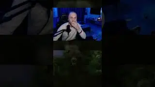 Реакция Зубарева на волков в сумерках 