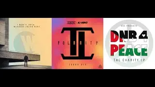 I Need (Wilkinson & Metrik Remix) Vs Kanine & Turno - Polarity V.I.P X Simula - Lazy Horn