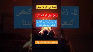 chees شطرنج كيا سكھاتی ہے by shahrukh khan 