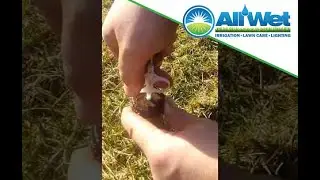 How To Turn Off A Sprinkler Head (Hunter I-20)
