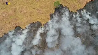 Лесные пожары бушуют в Амазонии