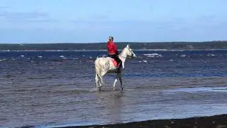 Прогулка по Сестрорецкому пляжу