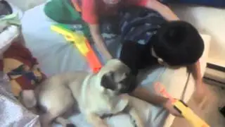 Nerf war