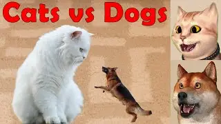 Cat & Dog's Debate on Cats vs Dogs (3D Reaction Comedy)