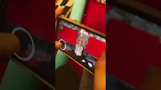 Поклонись…ЖИРАФУ!