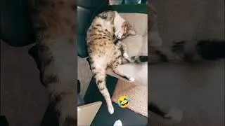 база, база!!!