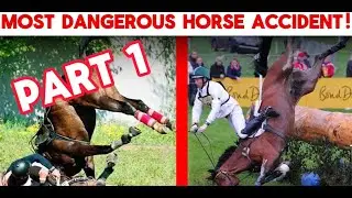 اخطر حوادث الخيل في العالم،لن تصدق ماذا حدث ،لقد نجى بأعجوبة !!!!#horselove  #horseridingstatus