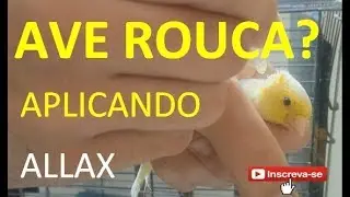 AVE ROUCA? APLICANDO ALLAX