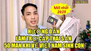Hướng dẫn làm trợ cấp thai sản 50 man khi về Việt Nam sinh con