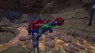 Can't Be Touched | Small Tribes