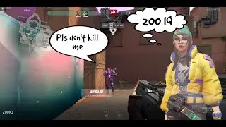 Accidentally 200IQ gameplay