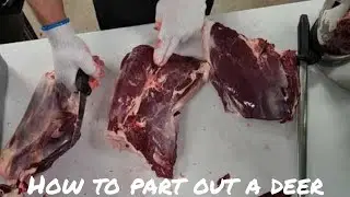 How to cut up a deer. part 3