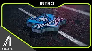 Visualion Entry || I did my best