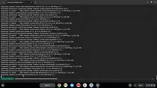 How to install Unity Hub on a chromebook.