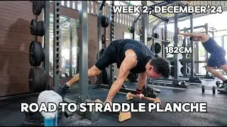 Planche Training as a Tall Athlete: Breaking the Myths (Week 2, December 2024)