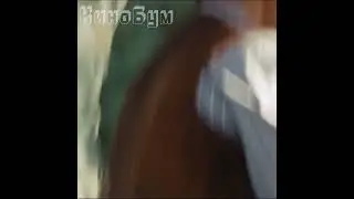 ПОКАЗАЛ КТО ТУТ ГЛАВНЫЙ #shorts#фильмы