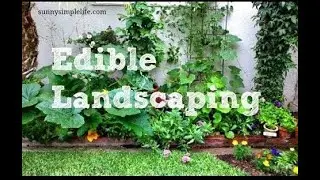 Edible Landscape Update, Spring 2024