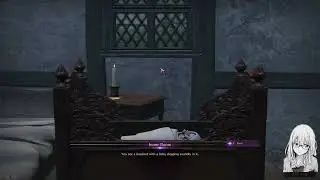 Farewell / Pale Nemesis Hartach guardian - Throne and Liberty Quest