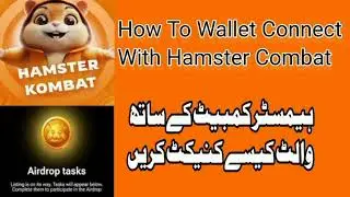 How To Connect Wallet With Hamster Combat