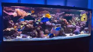 I'm back with a splash!