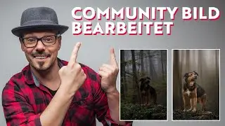 Hundefoto in LIGHTROOM & PHOTOSHOP bearbeitet - Community Bild