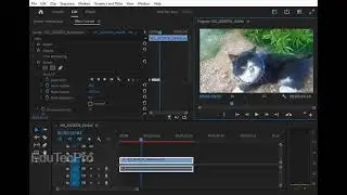 How to Censor Moving Faces in Premiere Pro (EASY Motion Tracking Tutorial) | Blur & Mosaic Effect