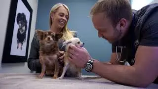 Brekke Veterinary Clinic