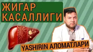 Жигар касаллигини яширин белгилари | Буни билиш муҳим