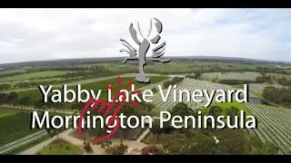 Yabby Lake Vineyards, Mornington Peninsula, Australia. Vineyards and drone