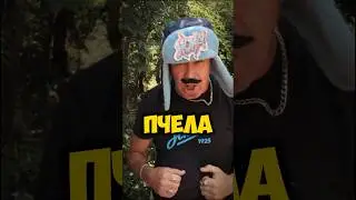 #единоборство