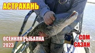 Астрахань / Осенняя рыбалка 2023 / Сом и сазан / День первый